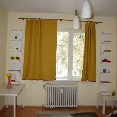 Central Apartment
